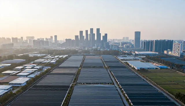 企业管理系统集成:性能与适用条件的比较取舍